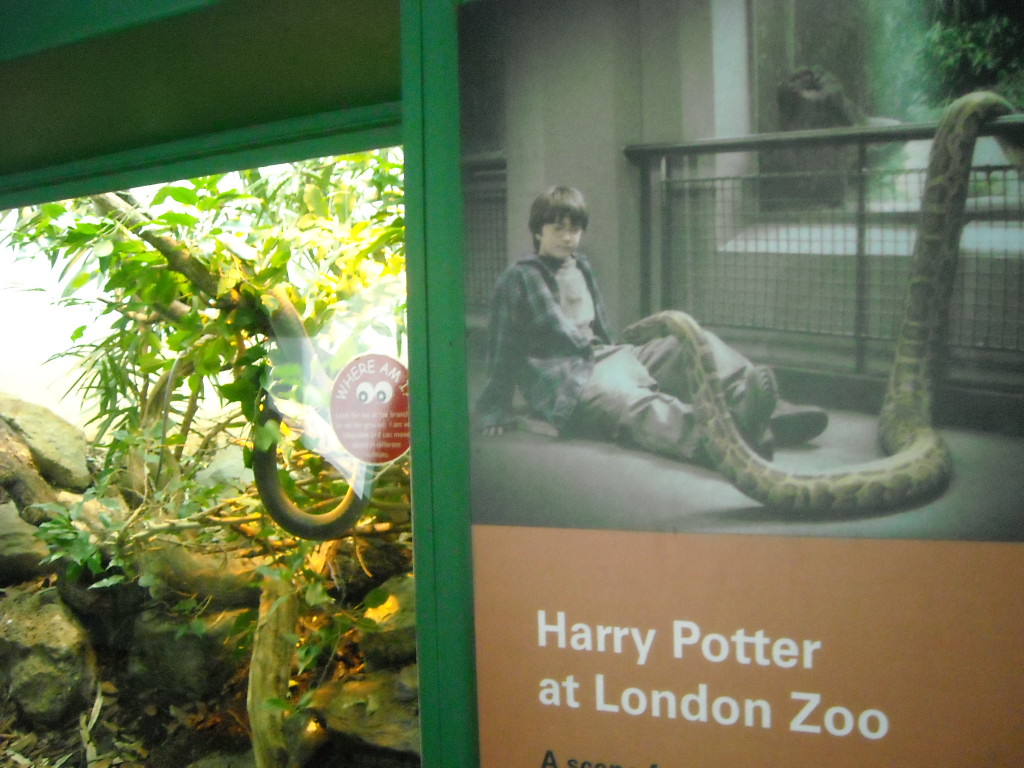 Harry Potter At London Zoo 子どもと一緒にバイリンガル